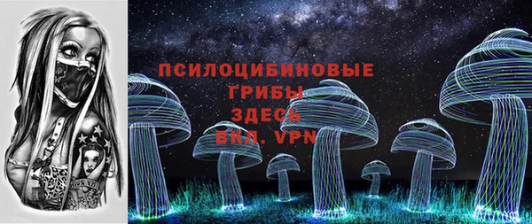 прущие грибы Дмитровск