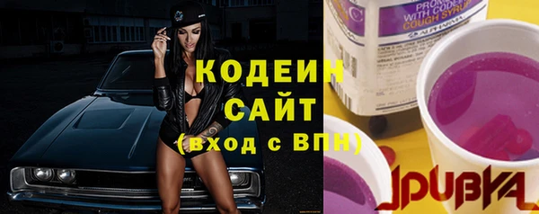 прущие грибы Дмитровск