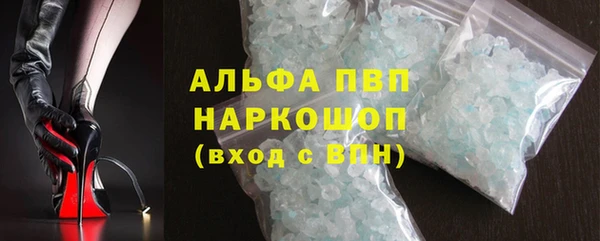 прущие грибы Дмитровск