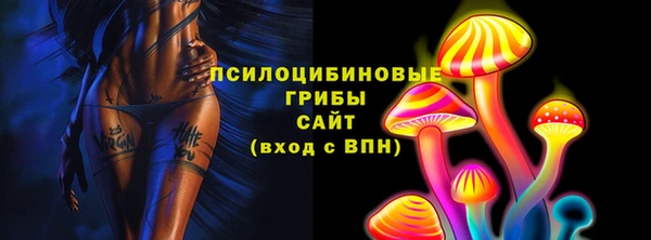 прущие грибы Дмитровск
