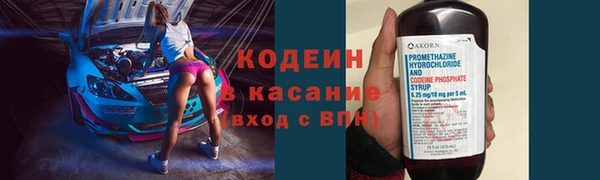 прущие грибы Дмитровск