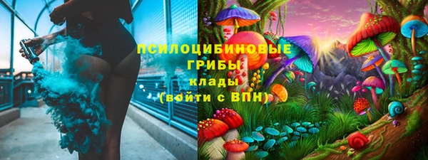 прущая мука Дмитриев