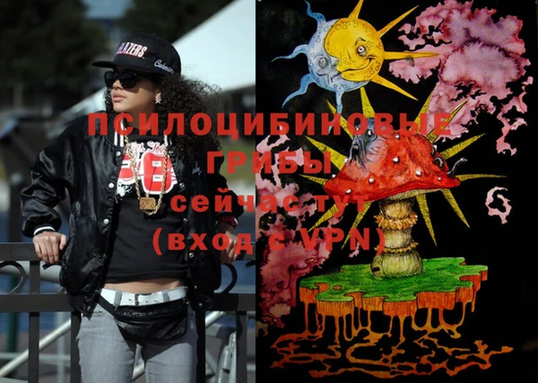 прущая мука Дмитриев