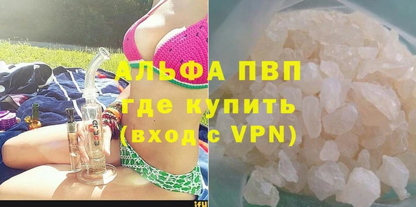 прущие грибы Дмитровск