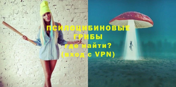 a pvp Дмитров