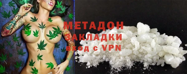 прущие грибы Дмитровск