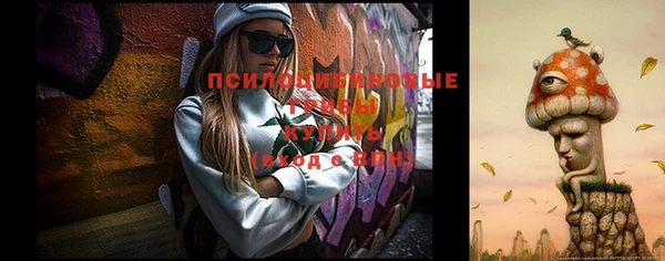 прущая мука Дмитриев