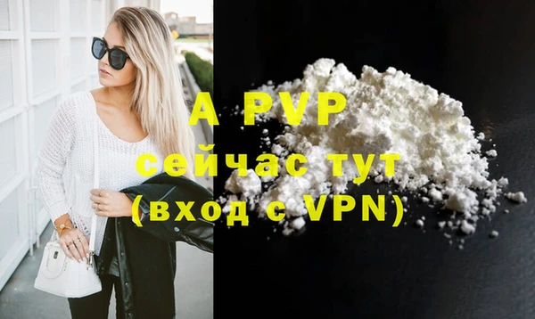 прущие грибы Дмитровск