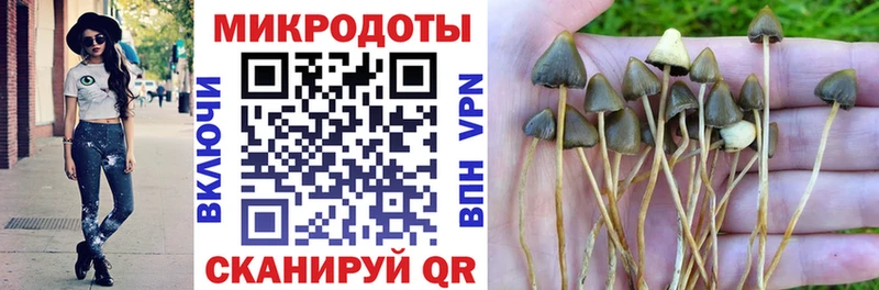 Псилоцибиновые грибы Psilocybine cubensis  mega ссылки  Валуйки 