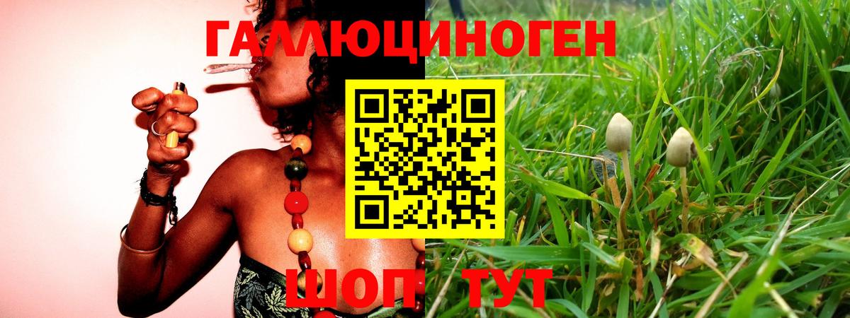 закладки  Псилоцибиновые грибы GOLDEN TEACHER  Вход с VPN  Валуйки  Галлюциногенные грибы Psilocybine cubensis 