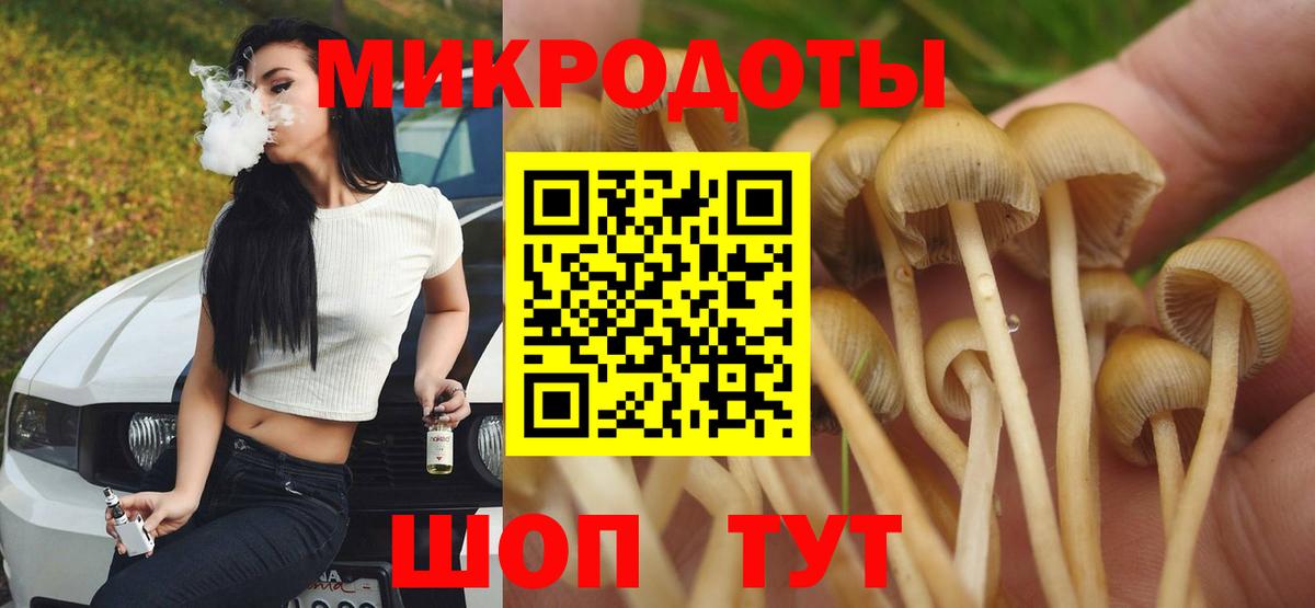 Галлюциногенные грибы Cubensis Валуйки
